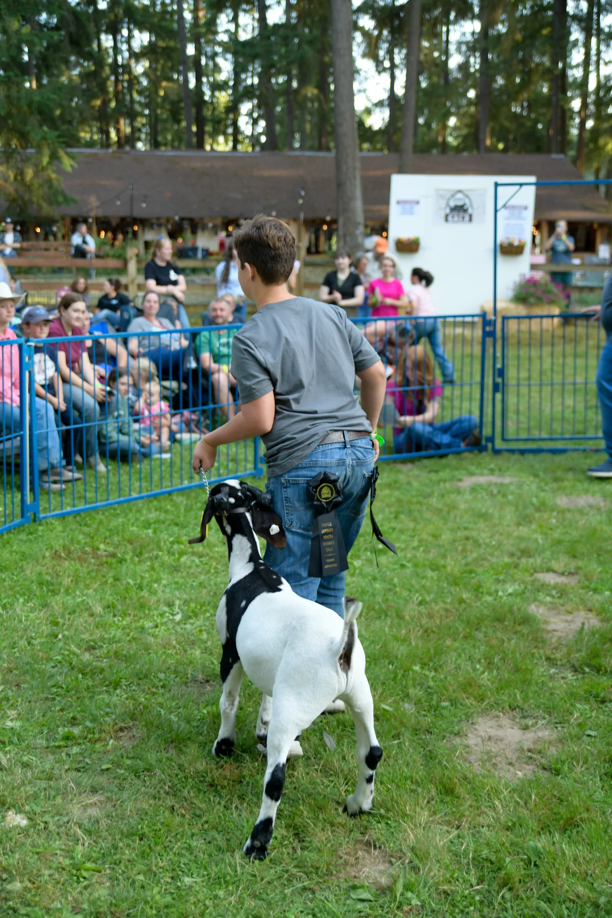 A youth leads a black-and-white goat through the outdoor sale ring.