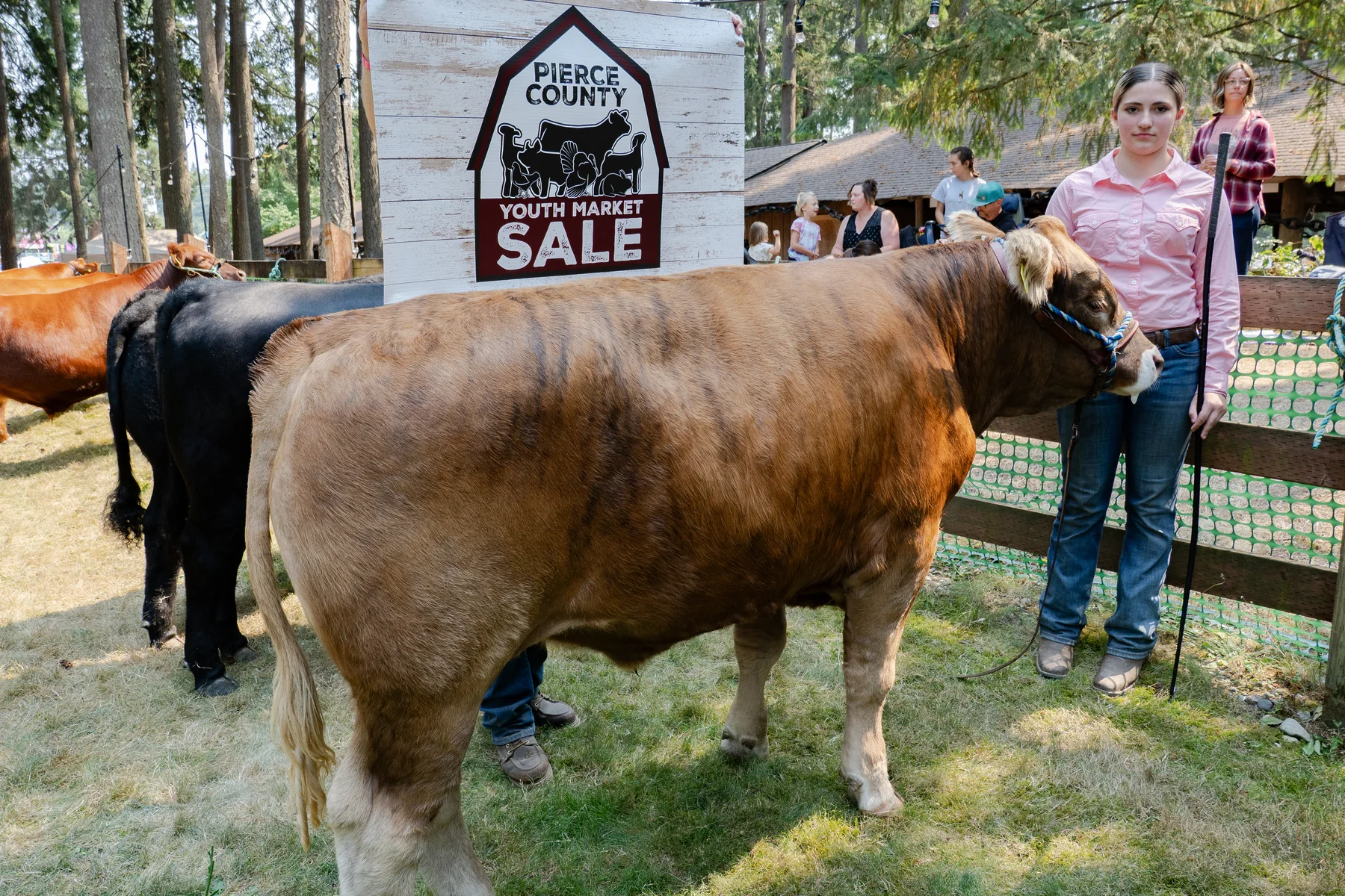 An exhibitor stands beside a brown steer in front of the PCYMS photo backdrop.