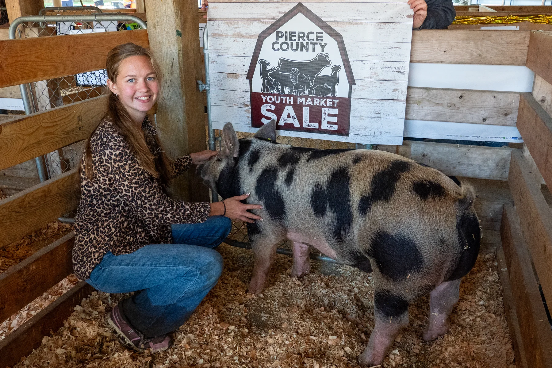 A young exhibitor kneels beside a spotted pig in its pen with a PCYMS sign behind them.